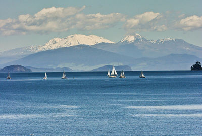 Taupo