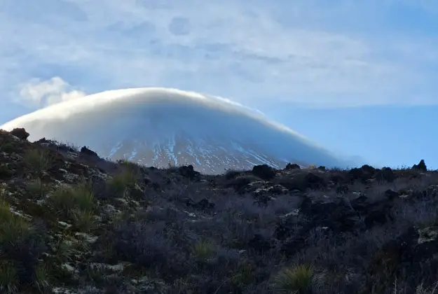 Misty Mountain